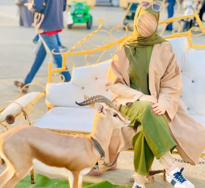 ����� ���_srgZf