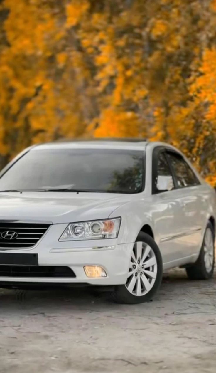 ���� ��������_ZYVFV