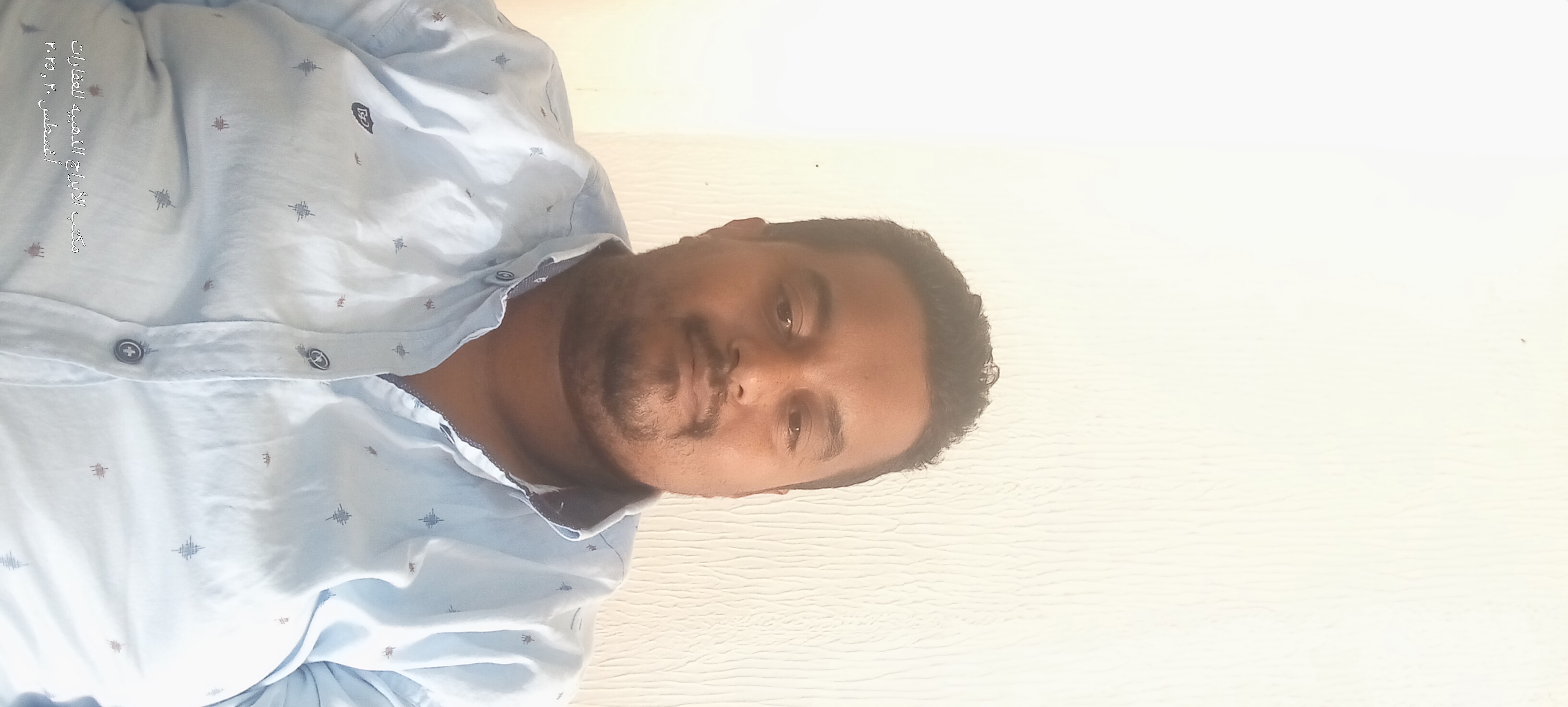 ���� ������