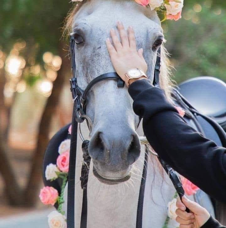 ��� ������_z2yQl