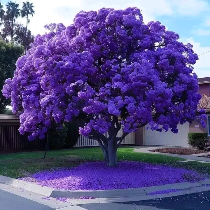 ���� �������_RY2ve