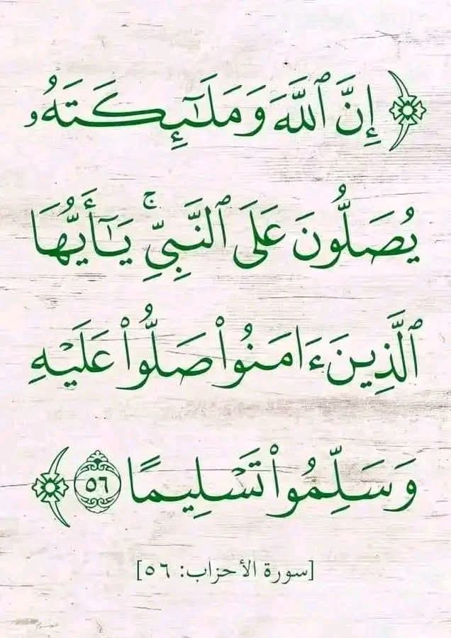 ���� �������� ��������_gkPPQ