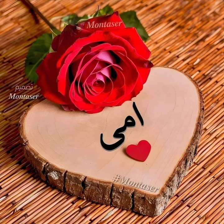 ���� �������_YKc9O